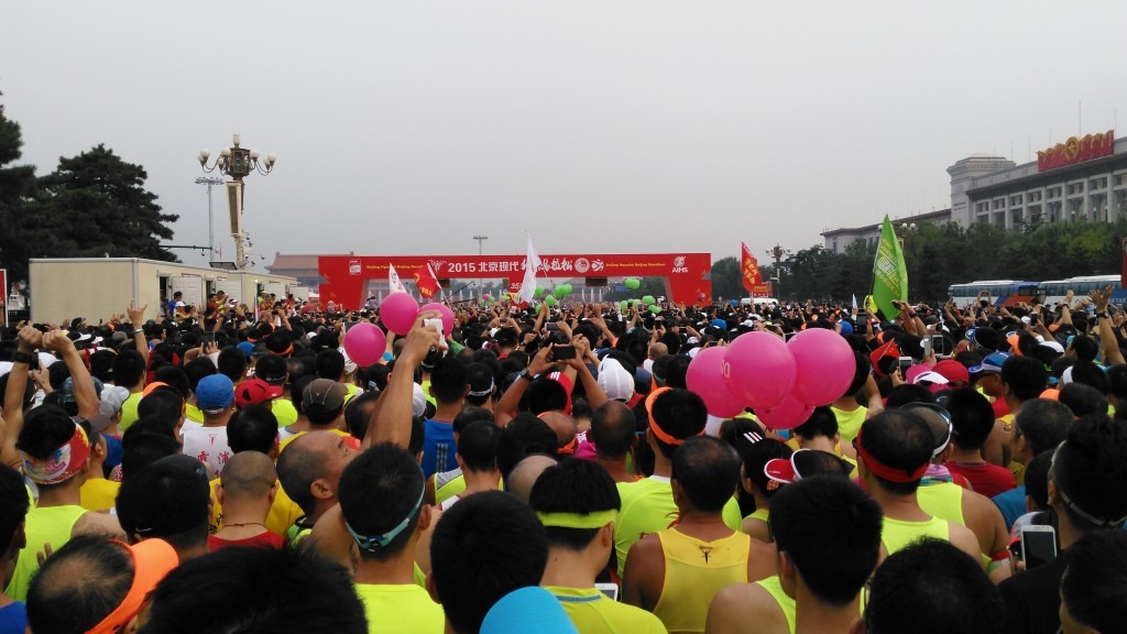 世界,你好,我是西瓜!